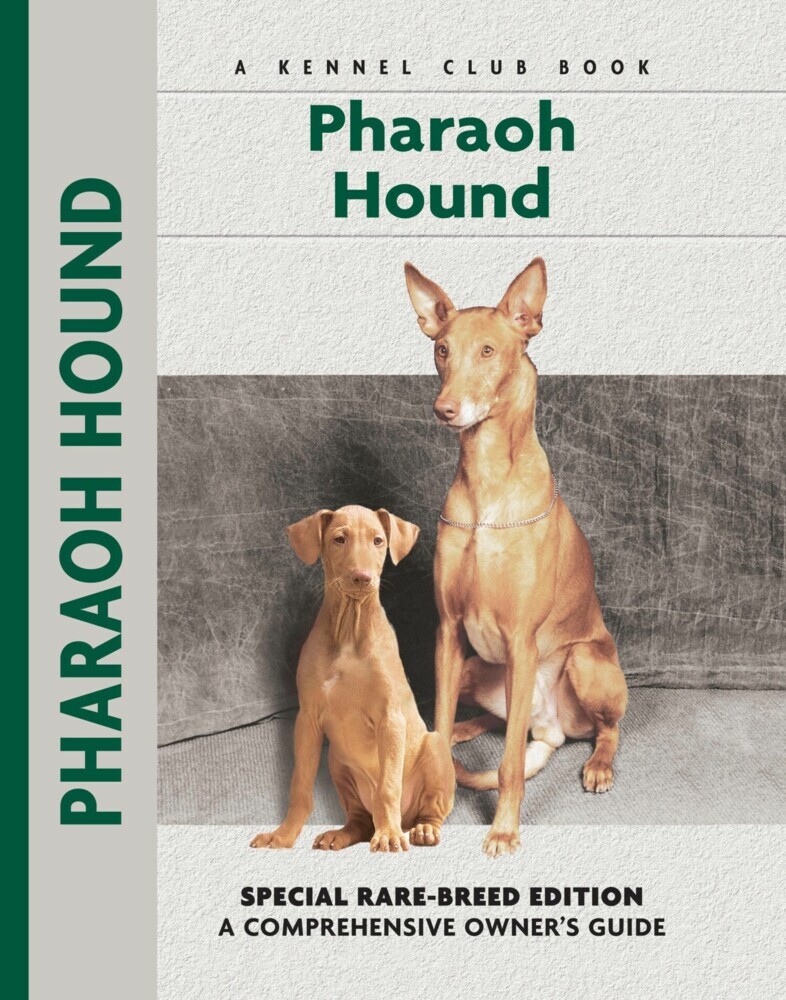 Pharaoh Hound main product photo