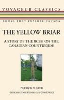 Yellow Briar