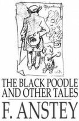 Black Poodle