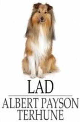 Lad