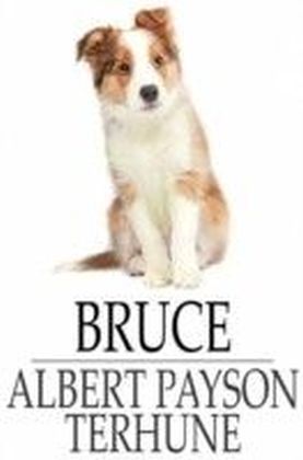 Bruce