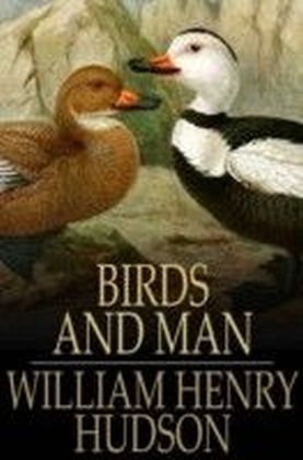 Birds and Man main product photo