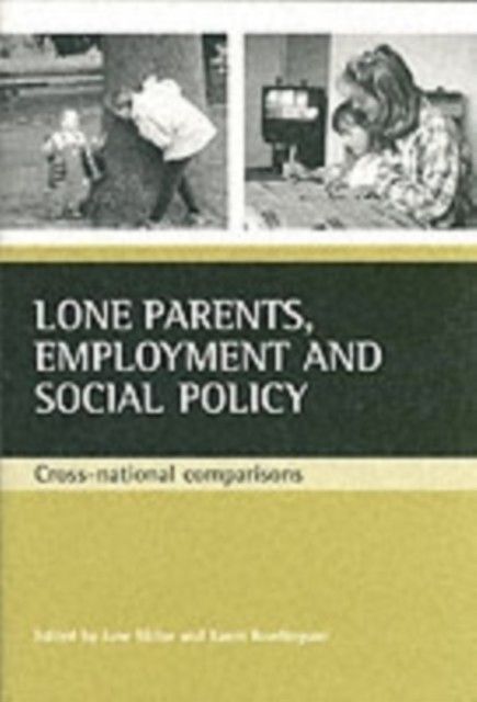 Lone parents, employment and social policy main product photo