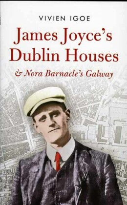 James Joyce's Dublin Houses