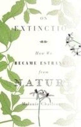 On Extinction main product photo