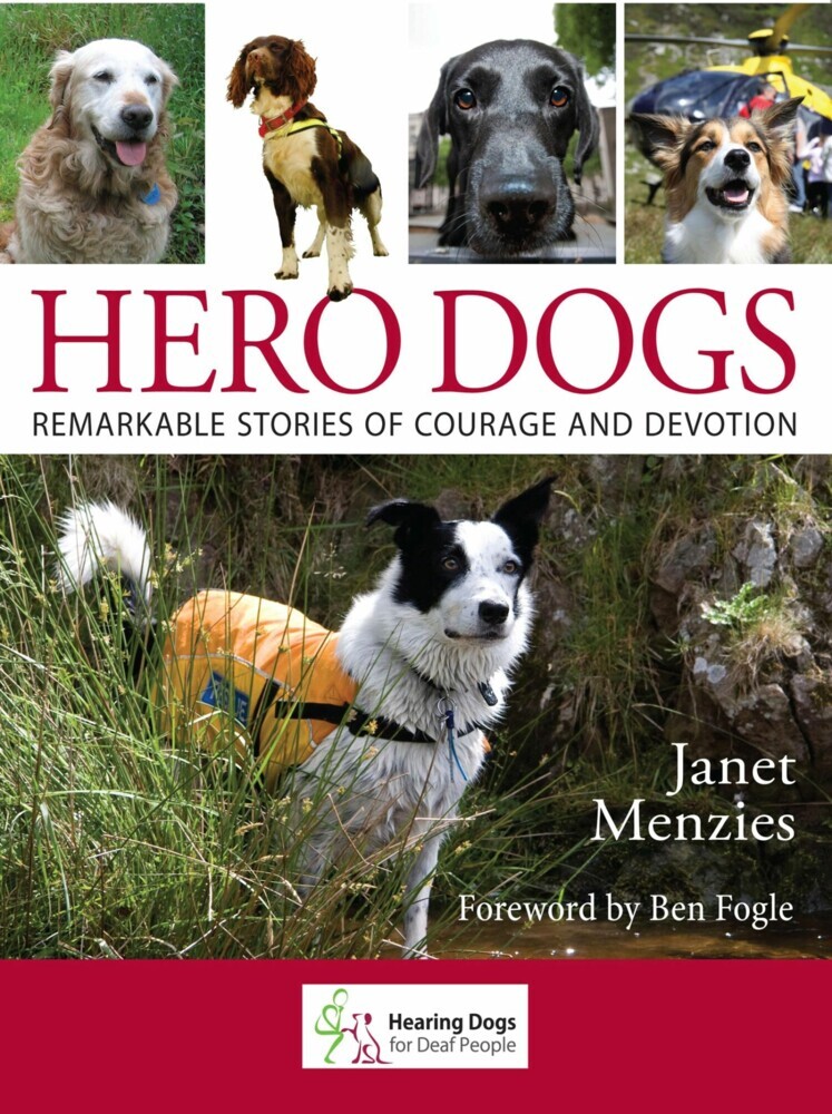 Hero Dogs main product photo