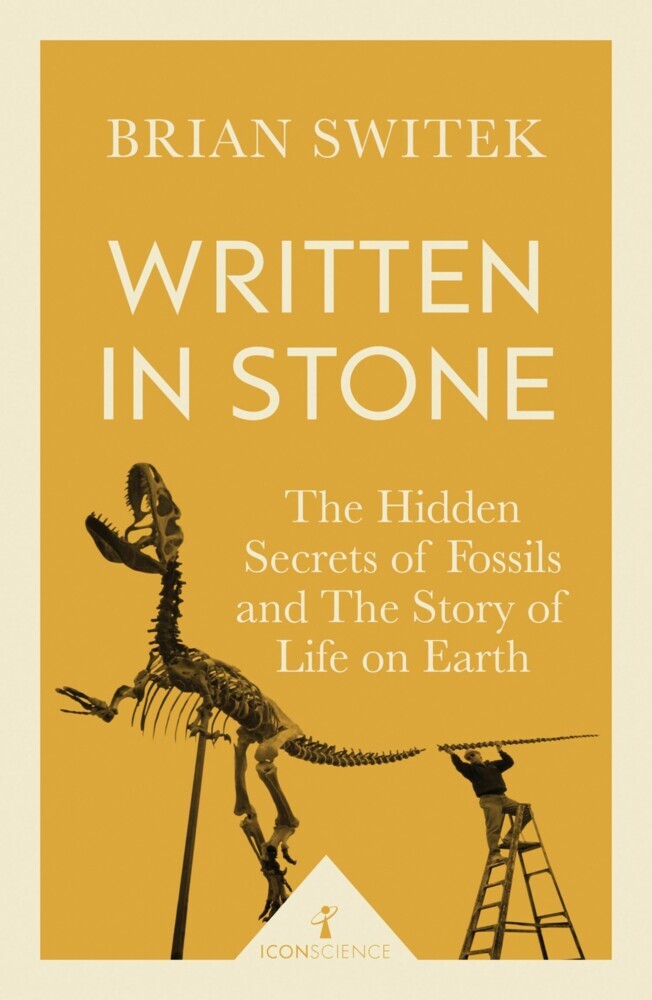 Written in Stone (Icon Science) main product photo