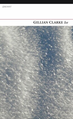 Ice