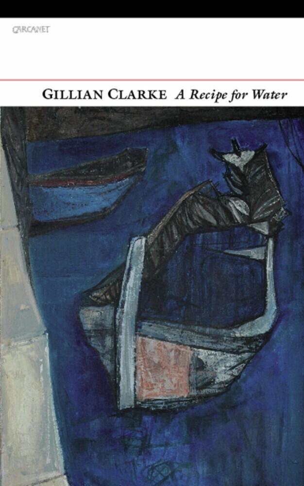 A Recipe for Water main product photo