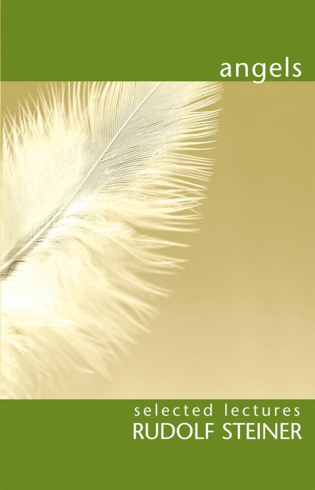 Angels main product photo