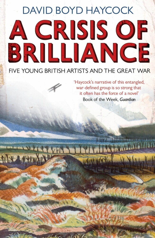 A Crisis of Brilliance main product photo