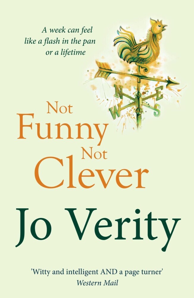 Not Funny Not Clever main product photo