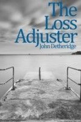 Loss Adjuster