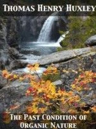 Past Condition of Organic Nature