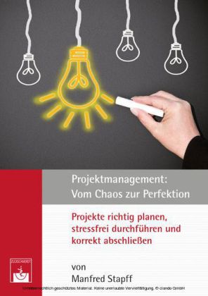 Projektmanagement: Vom Chaos zur Perfektion
