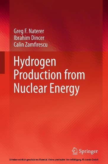Hydrogen Production from Nuclear Energy main product photo