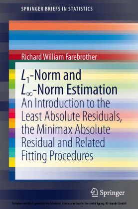 L1-Norm and L?-Norm Estimation