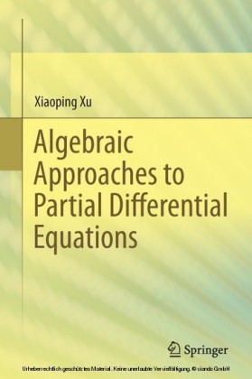 Algebraic Approaches to Partial Differential Equations