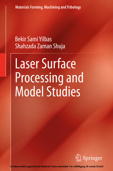 Laser Surface Processing and Model Studies main product photo