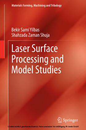 Laser Surface Processing and Model Studies