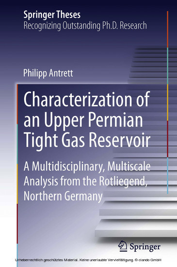 Characterization of an Upper Permian Tight Gas Reservoir main product photo