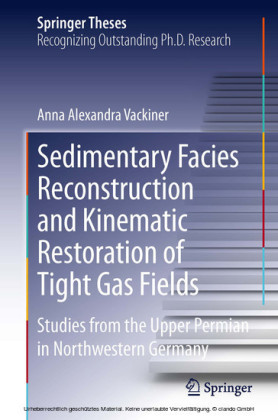 Sedimentary Facies Reconstruction and Kinematic Restoration of Tight Gas Fields
