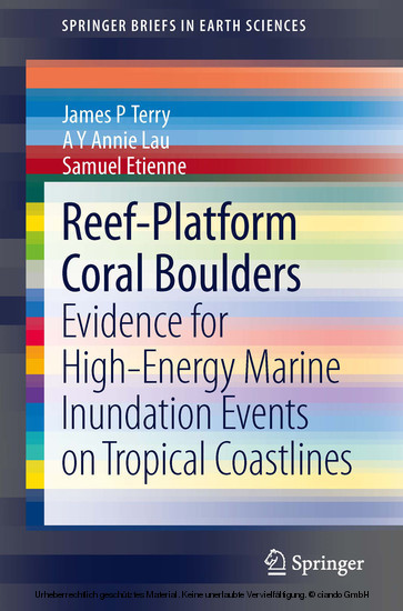 Reef-Platform Coral Boulders main product photo