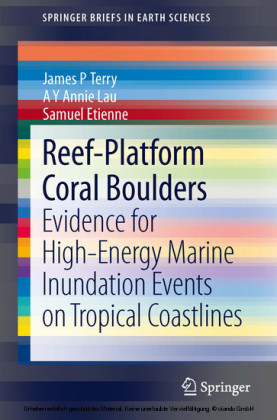 Reef-Platform  Coral  Boulders
