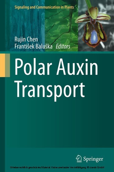 Polar Auxin Transport main product photo