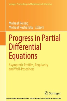 Progress in Partial Differential Equations