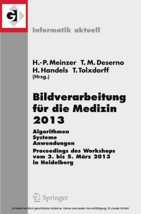 Bildverarbeitung für die Medizin 2013