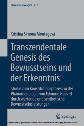 Transzendentale Genesis des Bewusstseins und der Erkenntnis