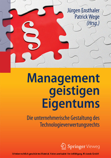 Management geistigen Eigentums main product photo