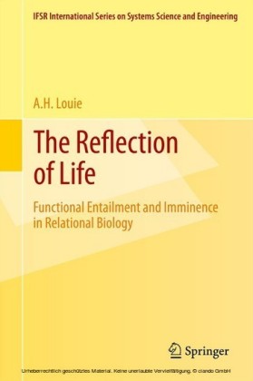 The Reflection of Life