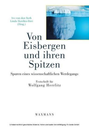 Von Eisbergen und ihren Spitzen