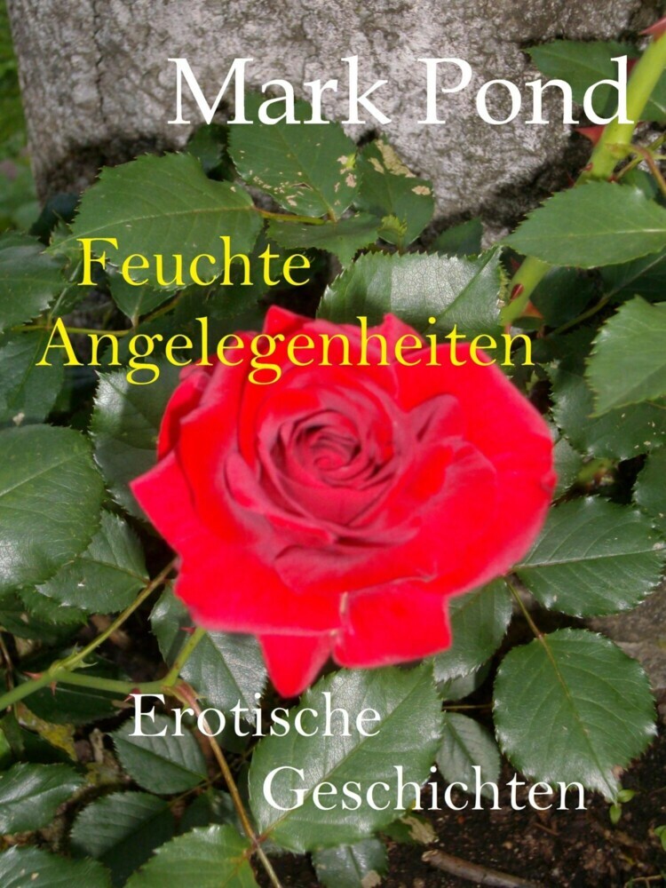 Feuchte Angelegenheiten main product photo
