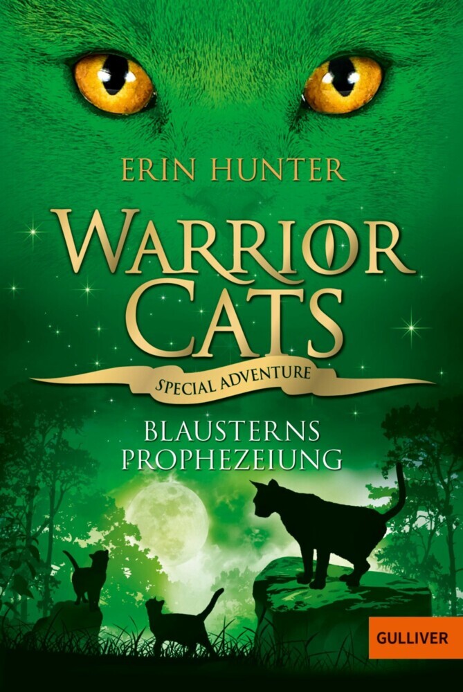Warrior Cats - Special Adventure. Blausterns Prophezeiung main product photo