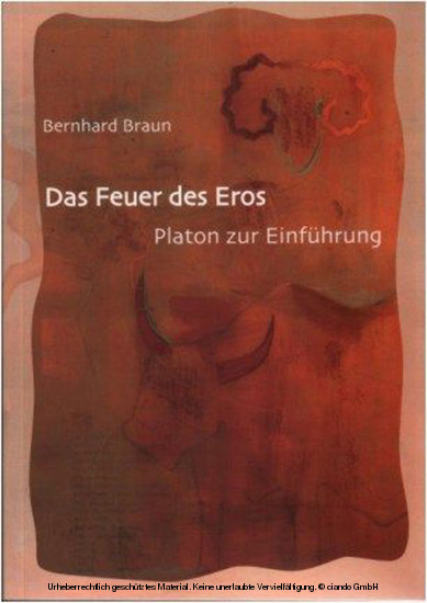Das Feuer des Eros main product photo