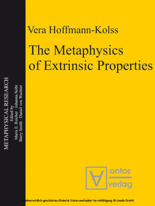 The Metaphysics of Extrinsic Properties