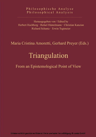 Triangulation main product photo