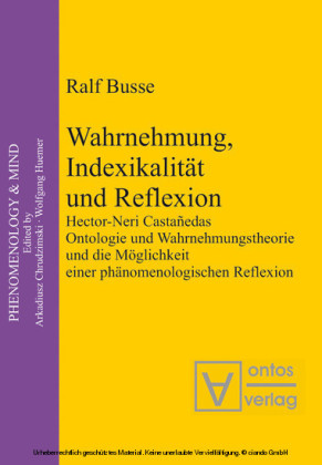Wahrnehmung, Indexikalität und Reflexion