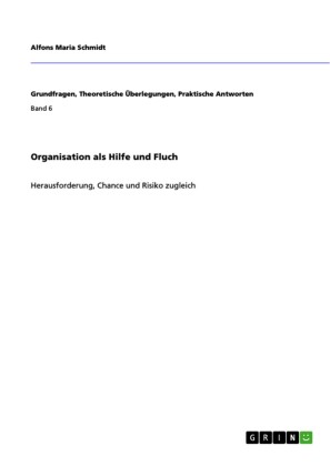 Organisation als Hilfe und Fluch