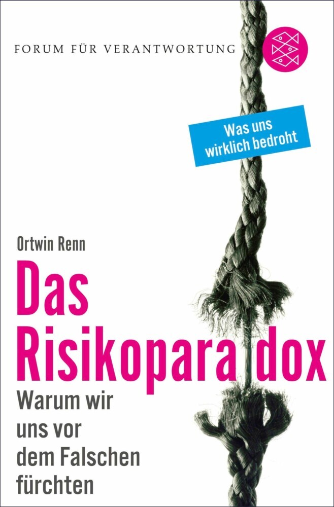 Das Risikoparadox main product photo