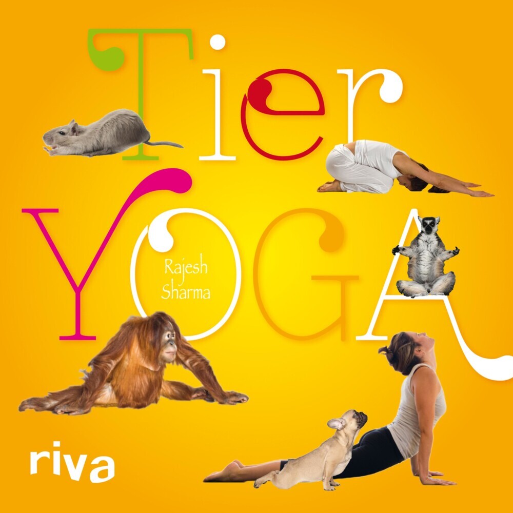Tieryoga main product photo