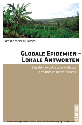 Globale Epidemien - Lokale Antworten