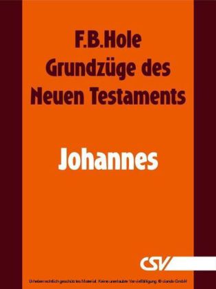 Grundzüge des Neuen Testaments - Johannes