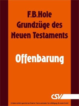 Grundzüge des Neuen Testaments - Offenbarung