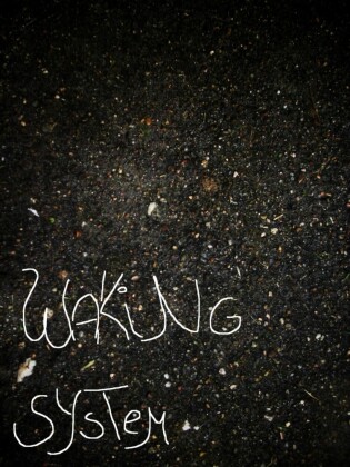 Waking System
