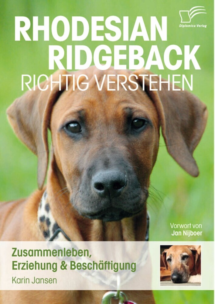 Rhodesian Ridgeback richtig verstehen: Zusammenleben, Erziehung & Beschäftigung main product photo