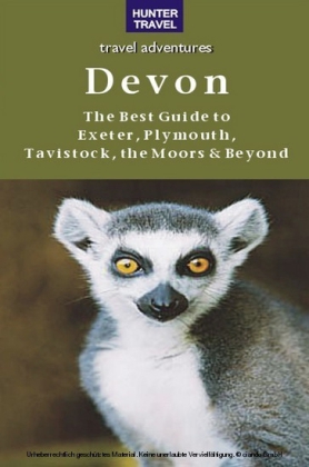 Devon: The Best Guide to Exeter, Plymouth, Tavistock, the Moors & Beyond
